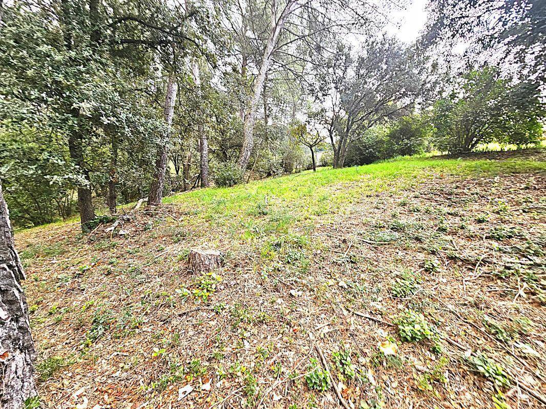 Terrain à SAINT-CLEMENT-DE-RIVIERE