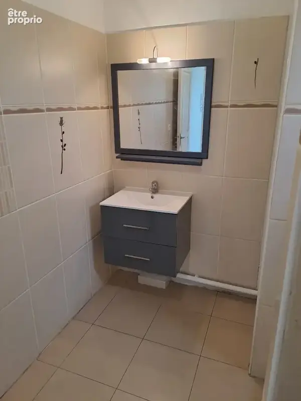 Appartement 1 pièce 28 m² à vendre à La Possession (97419) - photo 6