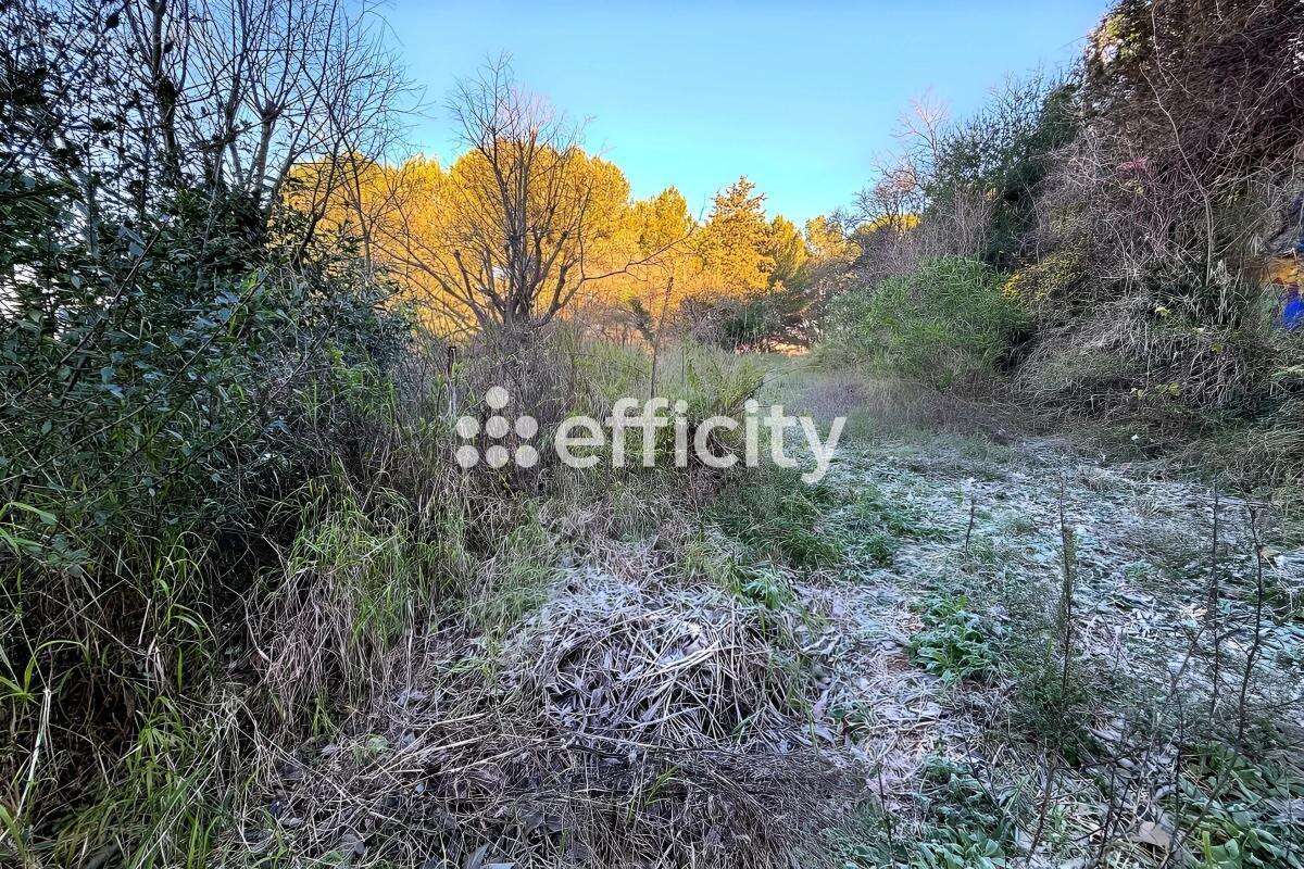 Maison à CASTELNAU-DE-GUERS