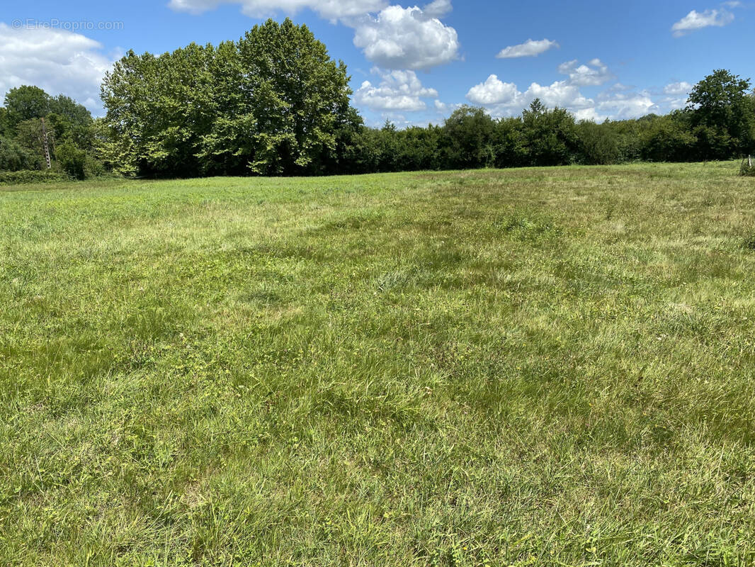 Terrain à NARCASTET