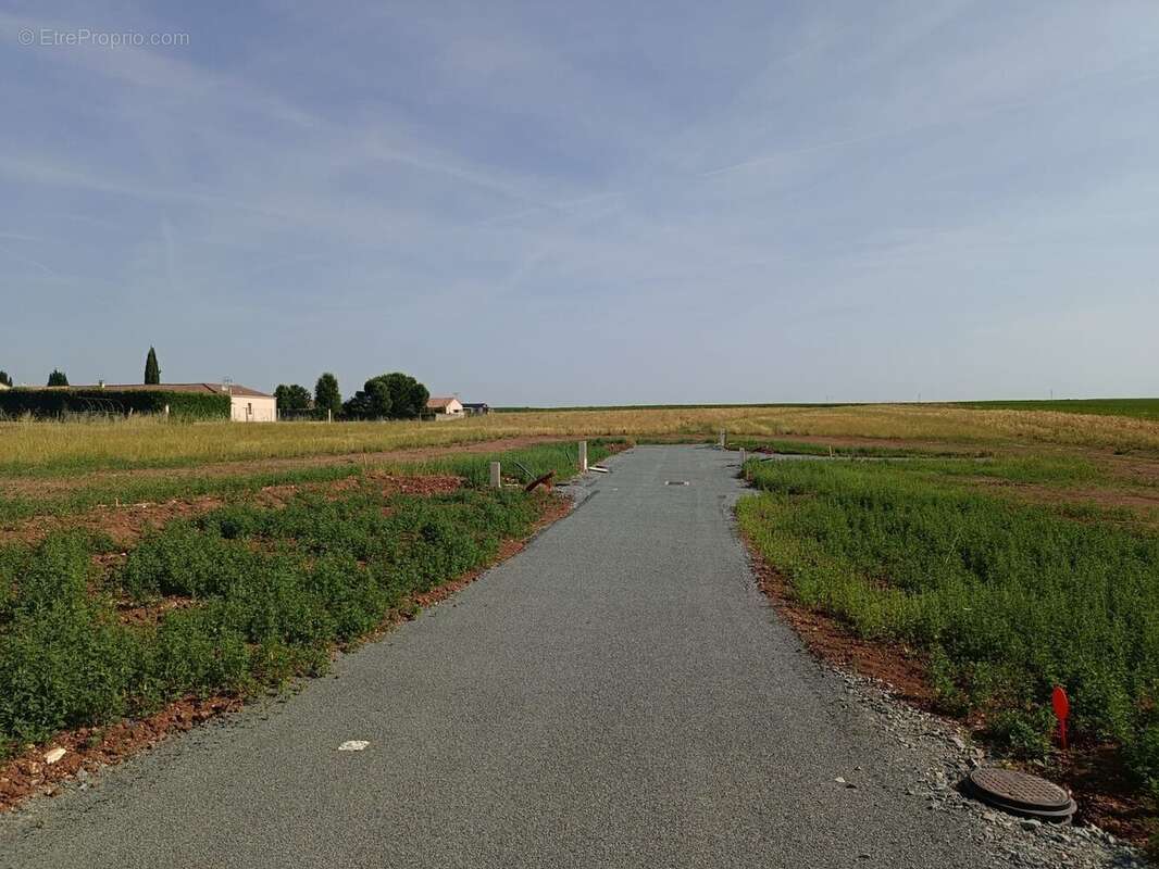 Terrain de 560 m² à villiers-en-plaine - photo 3