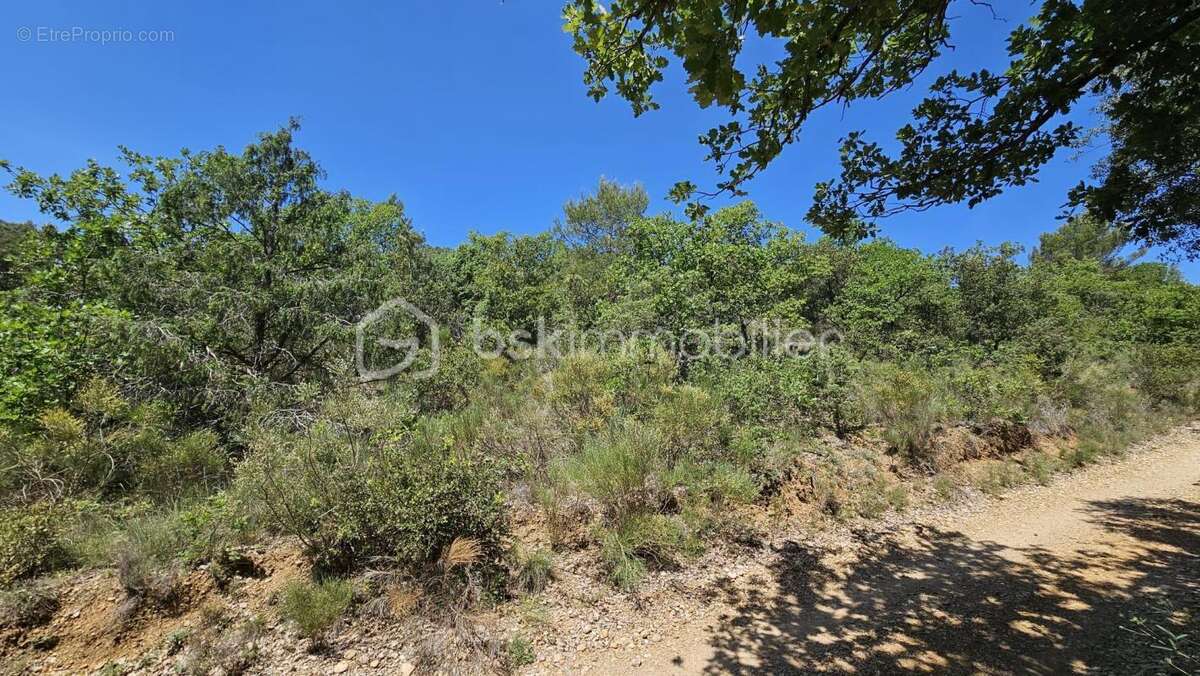 Terrain à BRUNET