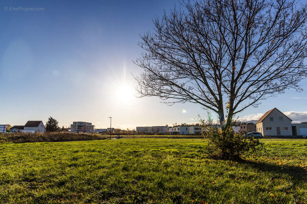 Terrain à ENSISHEIM