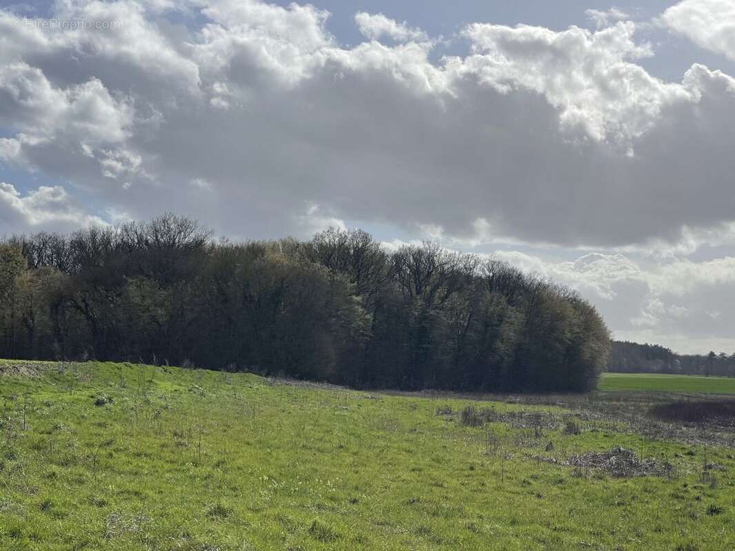 Terrain à CHEZAL-BENOIT