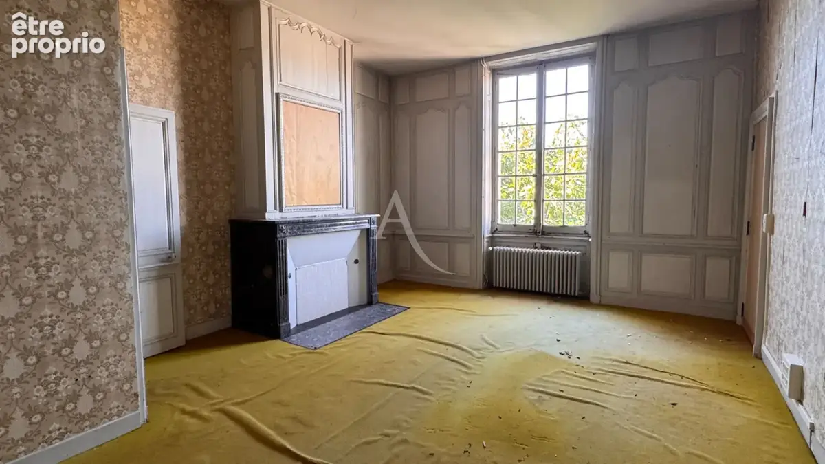 Demeure a vendre - hotel particulier centre ville romorantin lanthenay - photo 13