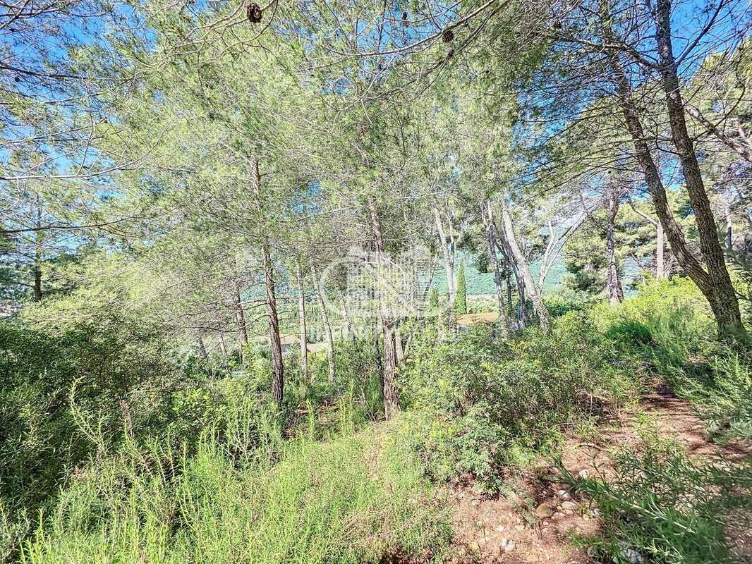 Maison à SAINT-MARTIN-DU-VAR