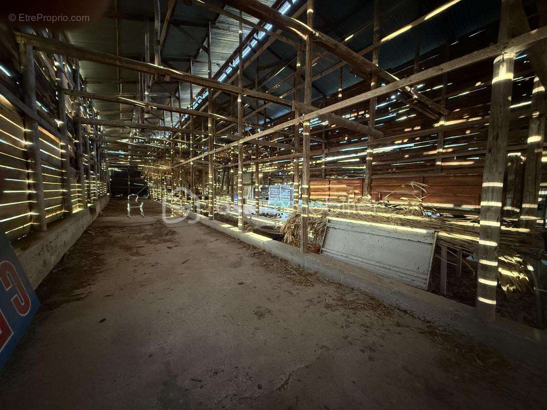 Maison à SAINT-HILAIRE-DU-ROSIER