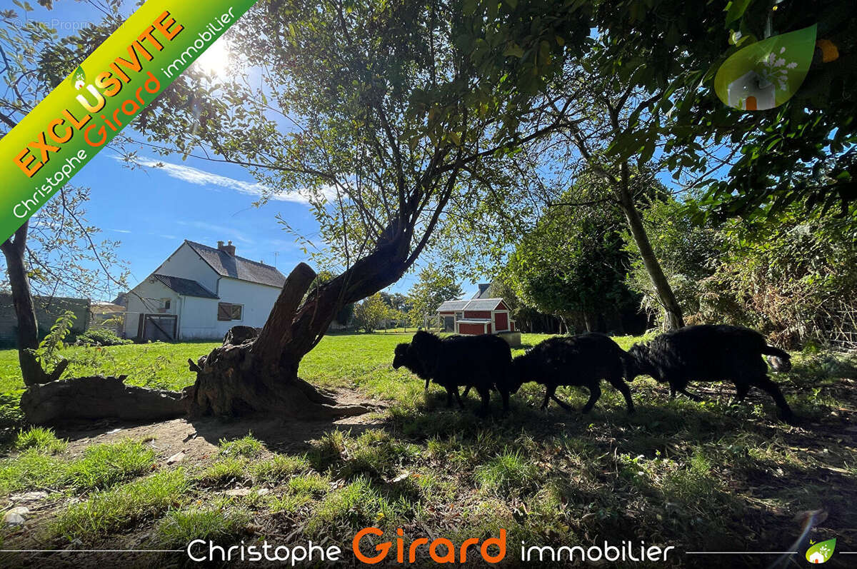 Maison à MINIAC-MORVAN