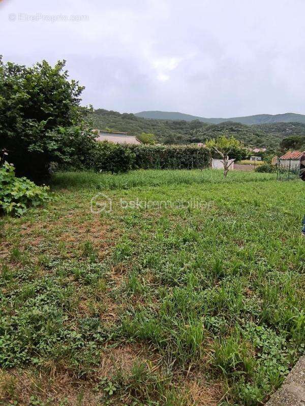 Ensemble immobilier avec appartements / terrasses / jardin / garages reynes 66400 - photo 2