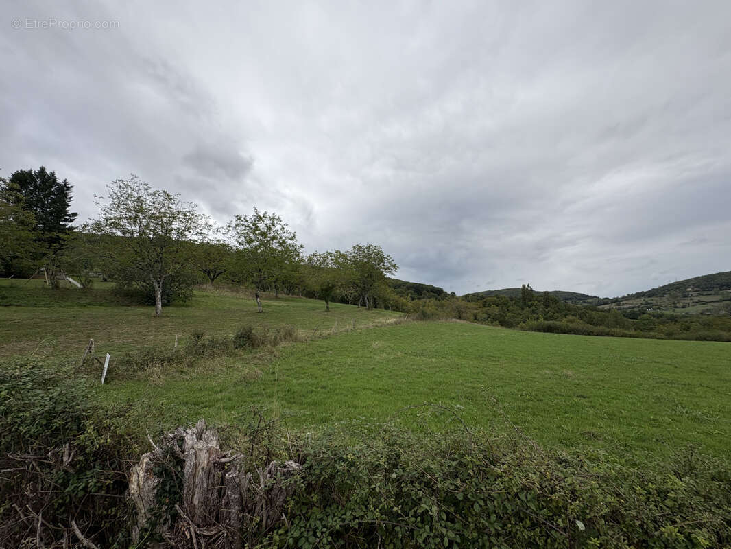 Terrain à CHASTEAUX