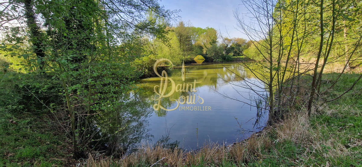 Terrain à CHAVEIGNES