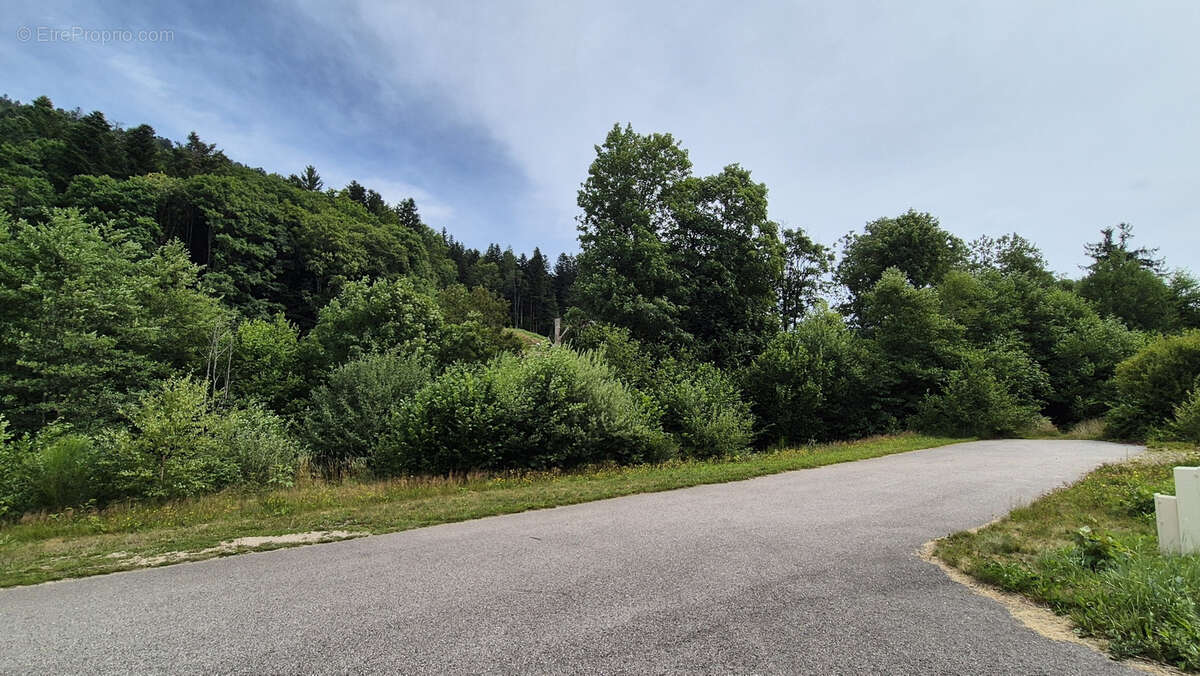 Terrain à XONRUPT-LONGEMER