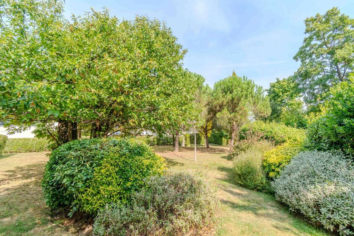 Appartement à MONTMORENCY