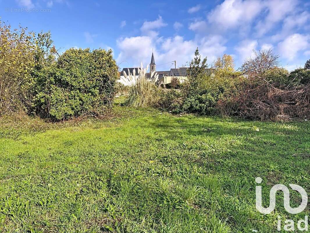 Photo 4 - Terrain à BEAULIEU-SUR-LAYON