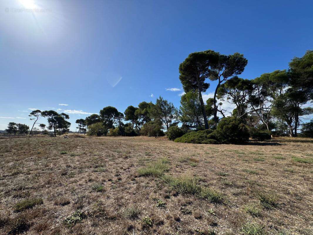 Propriété 179m² avec piscine - 23000m² de terrain - photo 14