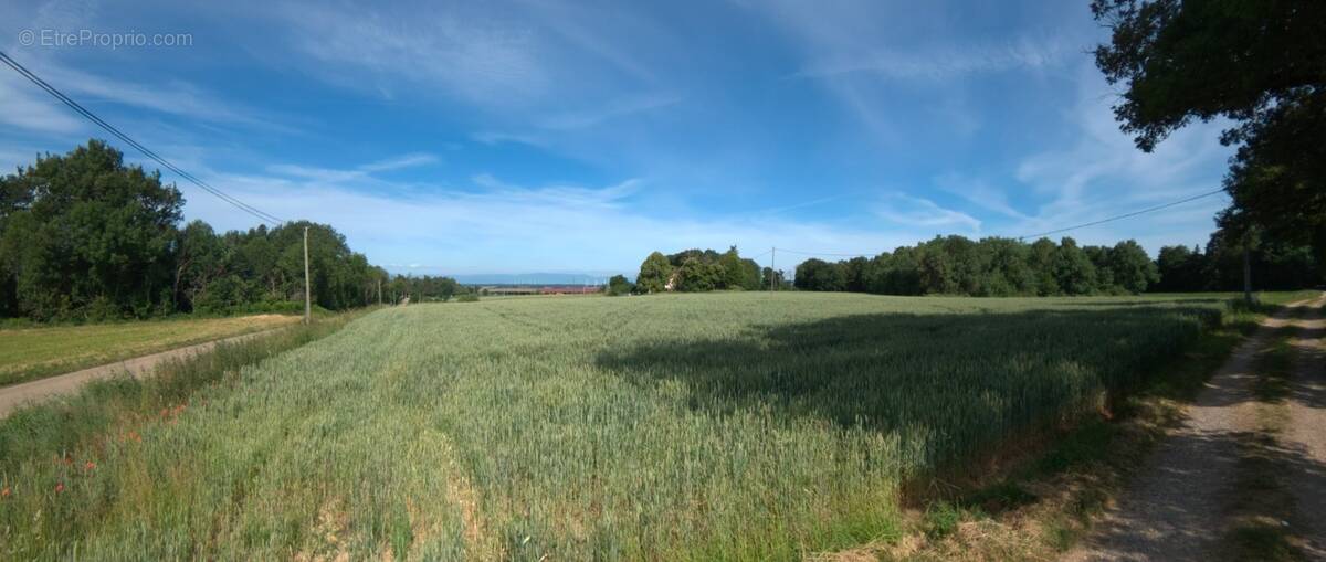 Terrain à ROYBON