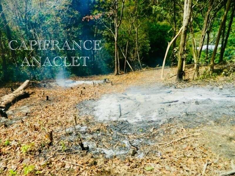 Terrain à RIVIERE-PILOTE