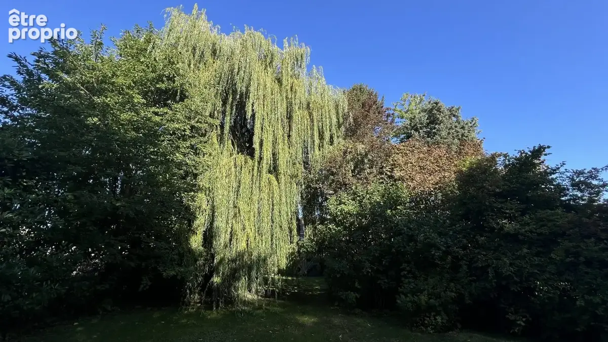 Photo Maison à Leers au prix de 499 000€