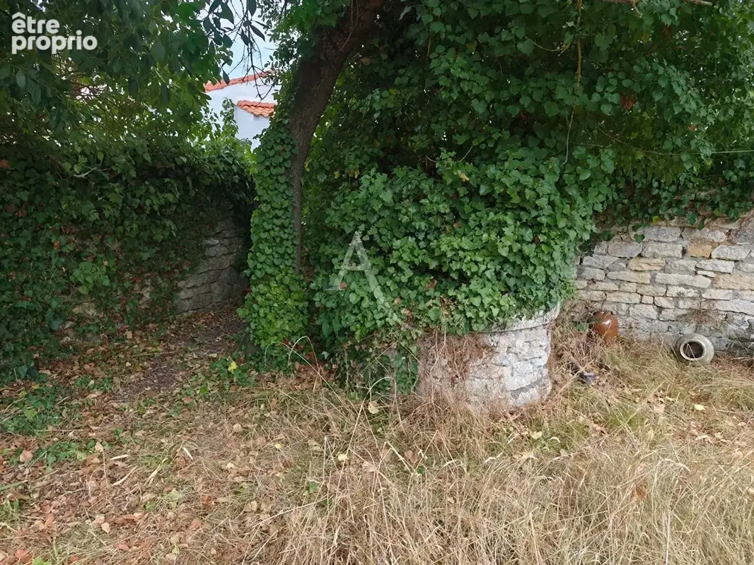 Maison - 2 pièces - quartier calme - ROCHEFORT - photo 9