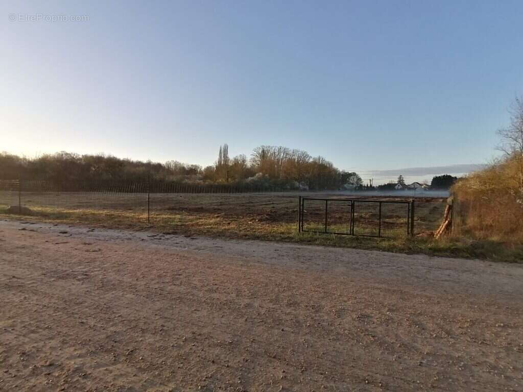 Terrain à SAINT-BENOIT-SUR-LOIRE
