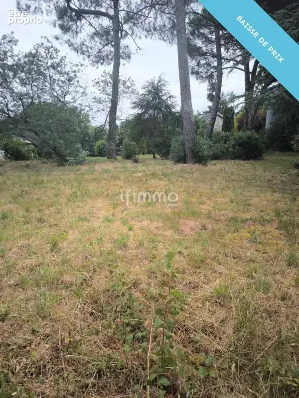 Terrain de 1 111 m2 en seconde ligne centre ville - photo 2