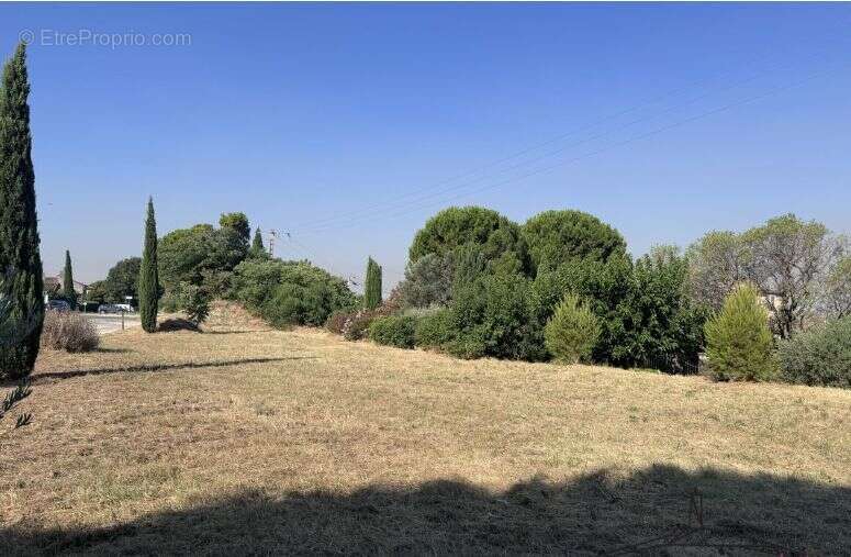 Projet de construction d'une maison  m² avec terrain à SABLET (84) - photo 1