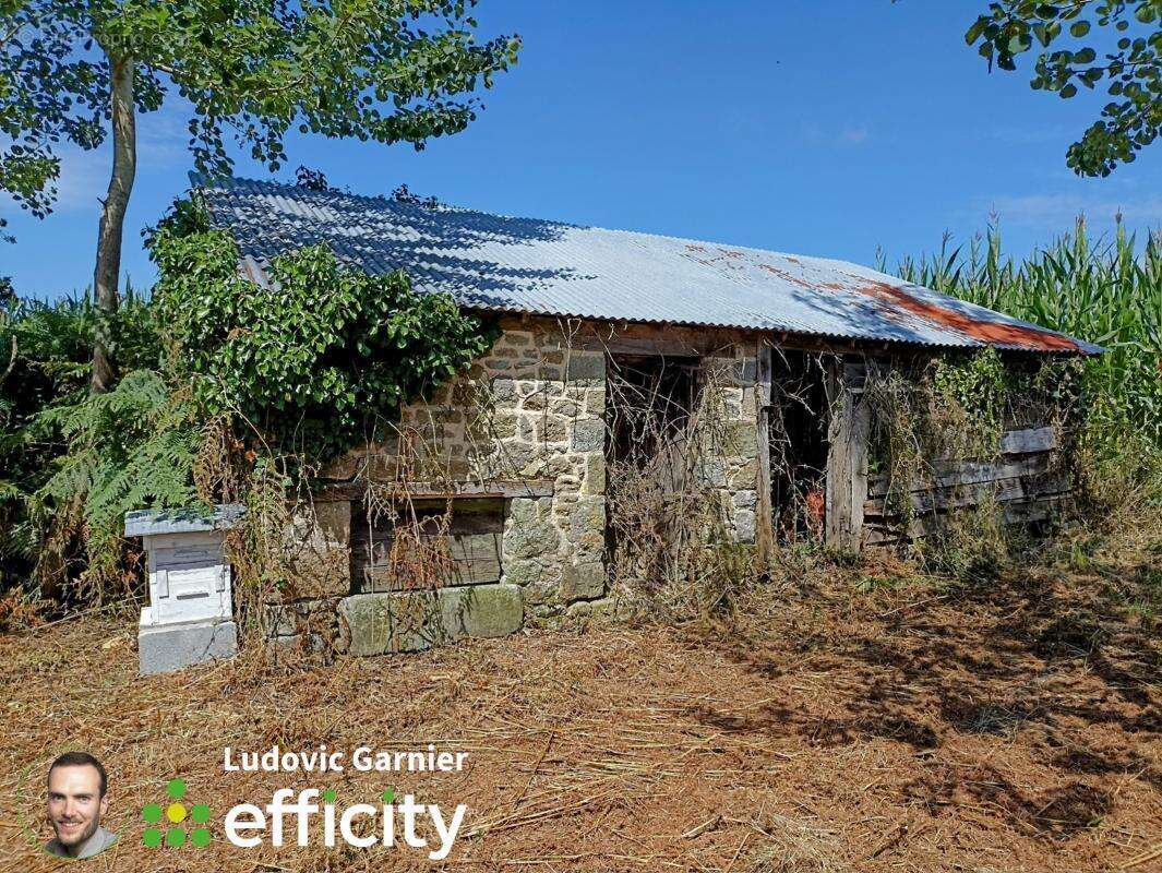 Maison à SAINT-GEORGES-DE-REINTEMBAULT