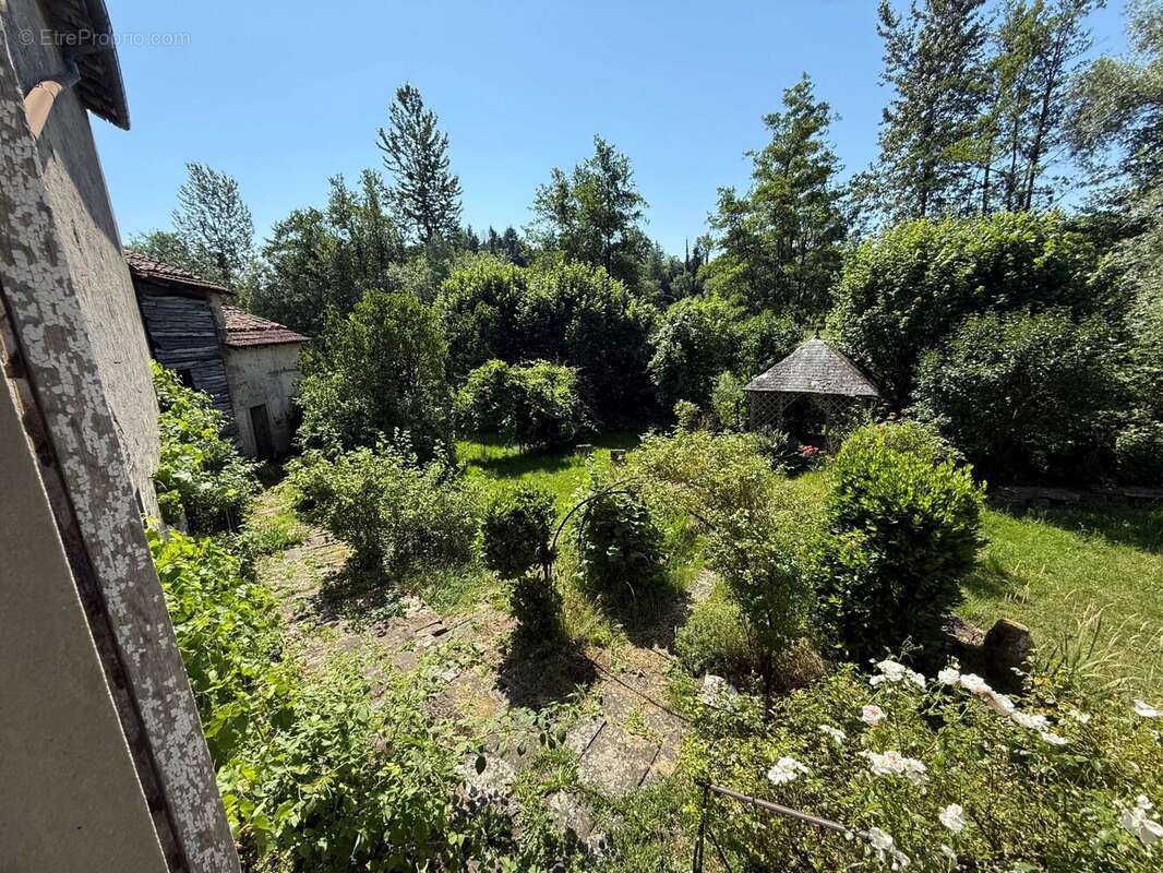 Magnifique manoir original dans un grand village avec toutes les commodités, situé au bord de la Saône - photo 12