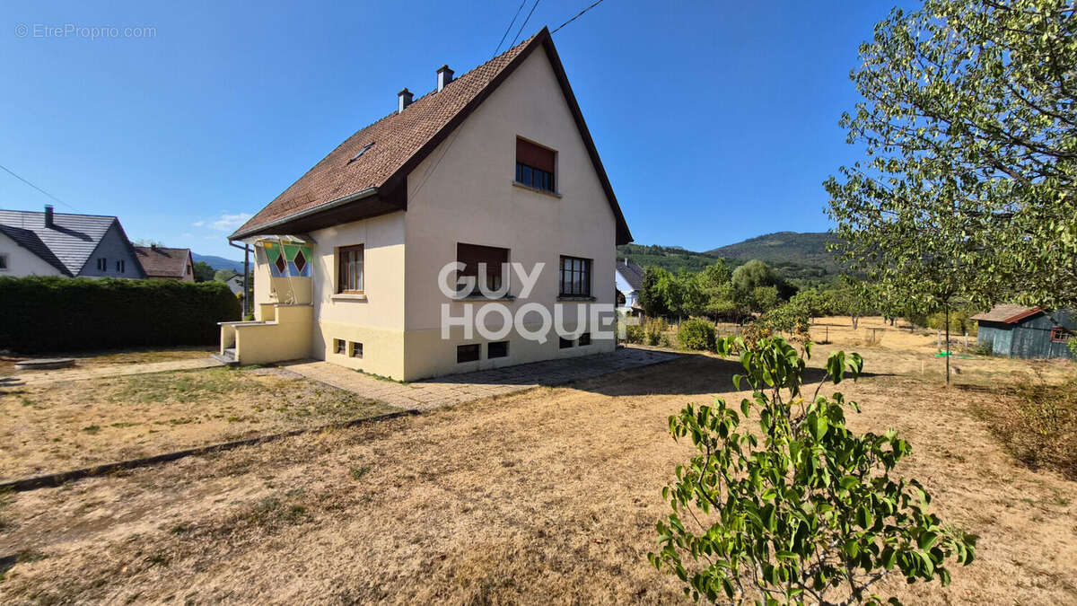 Maison Lauw 5 pièces 115 m2 - photo 3
