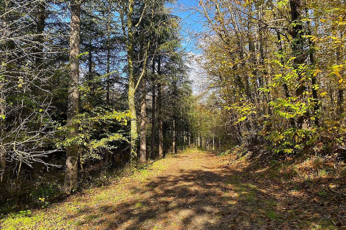 Maison à SAINT-LAURENT-DE-CERDANS