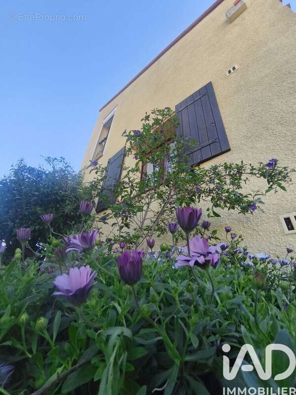 Photo 2 - Maison à CLAIRA