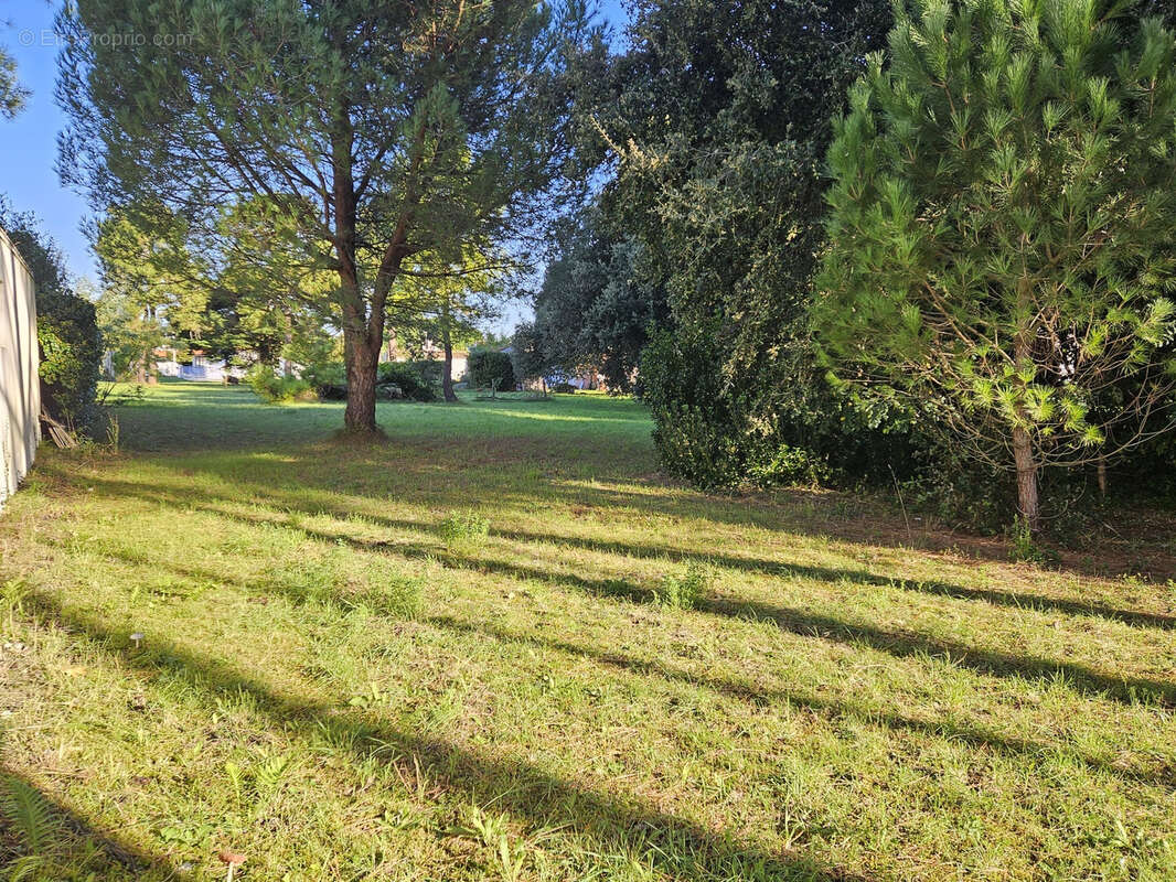 Terrain à SAINT-GEORGES-D&#039;OLERON