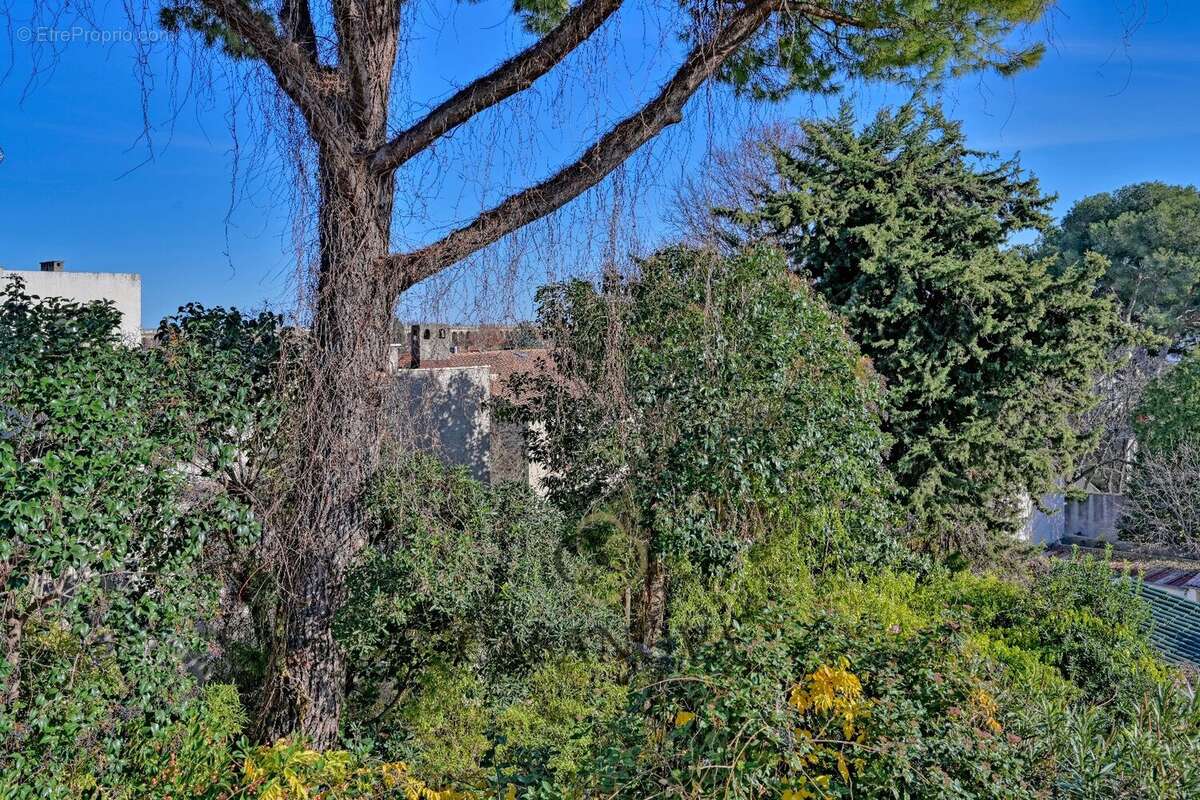 Maison à MONTPELLIER