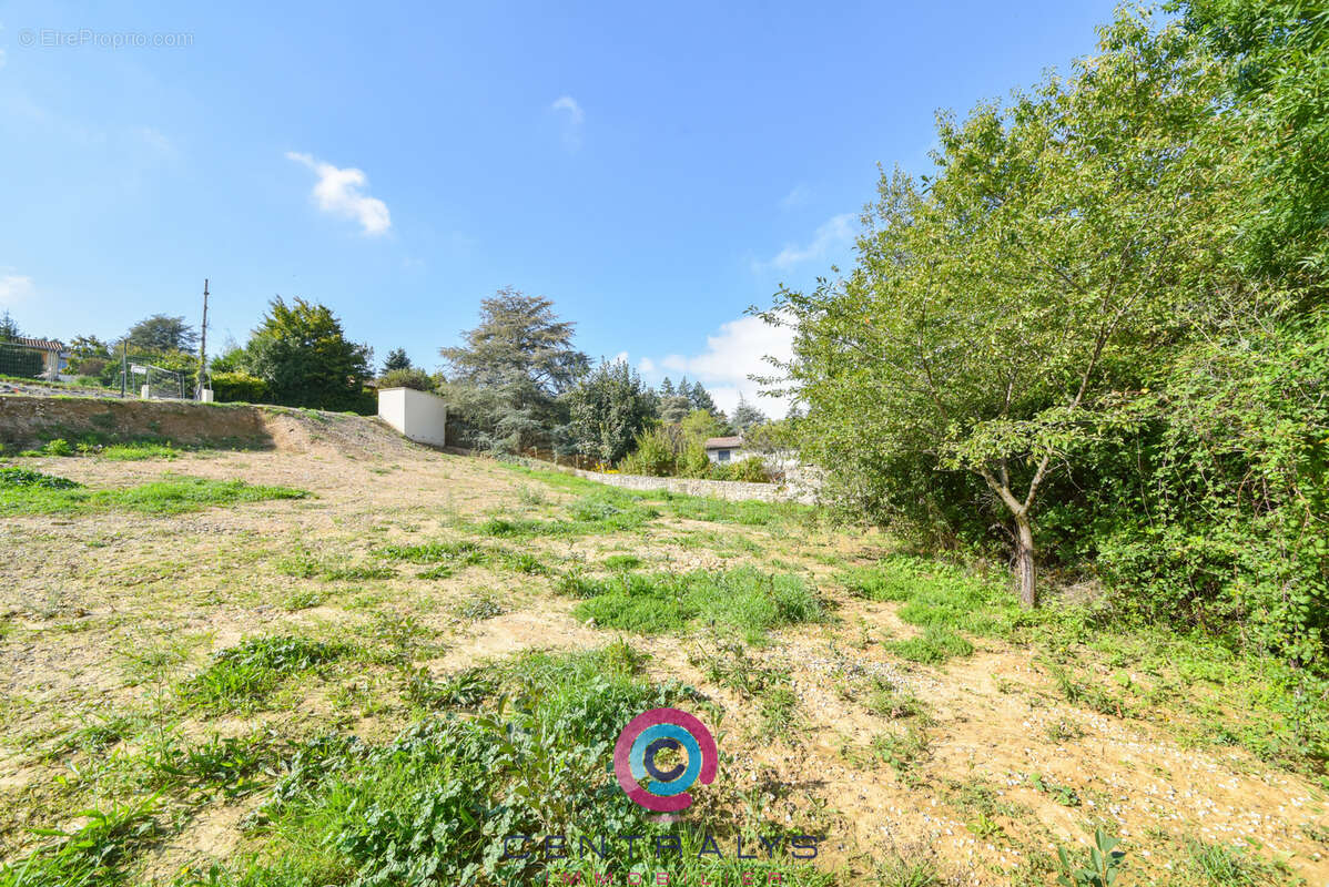 Terrain à SAINT-DIDIER-AU-MONT-D&#039;OR