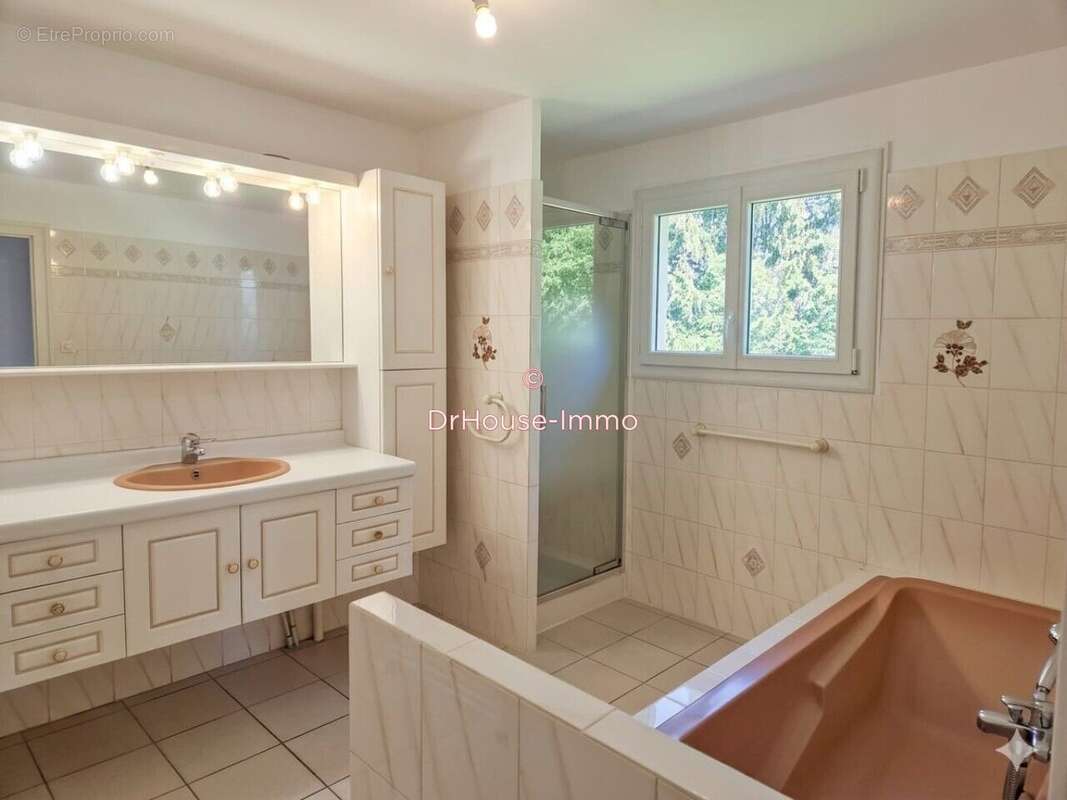 Maison 227 m² à Varacieux  - photo 49