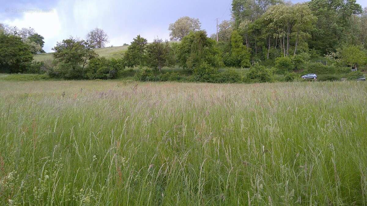 Photo 2 - Terrain à MAZERES-SUR-SALAT