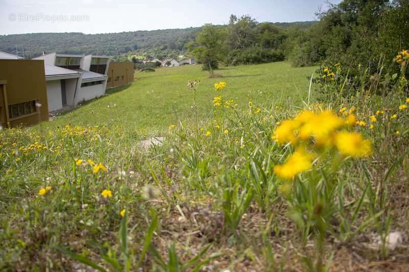 Terrain viabilisé - photo 3