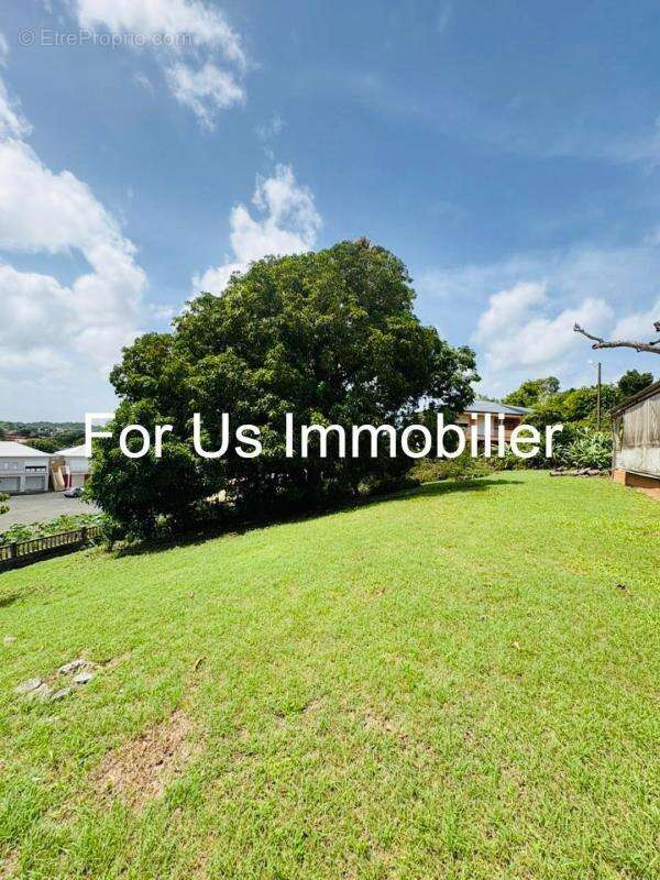 Maison à LES ABYMES