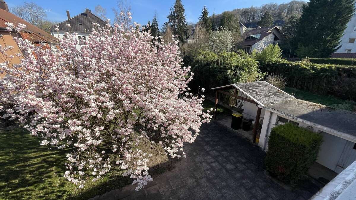 Maison à FOLKLING