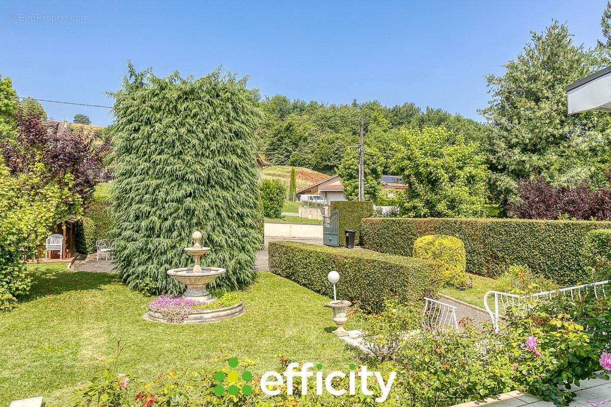 Maison à NIVOLAS-VERMELLE