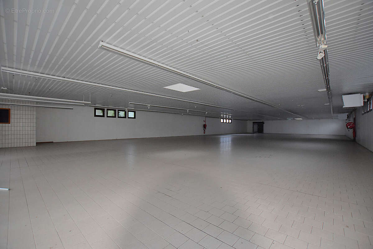 Commerce à LAPALISSE