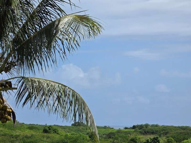 Maison à SAINTE-ANNE
