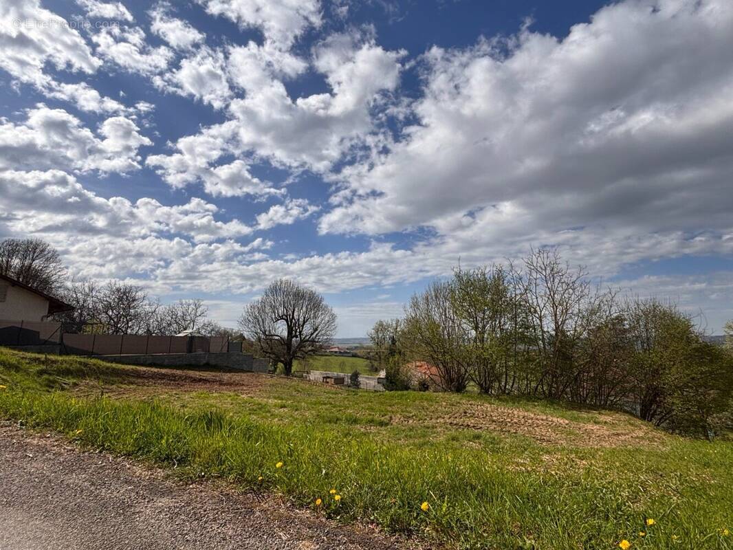Terrain à SAINT-SIMEON-DE-BRESSIEUX