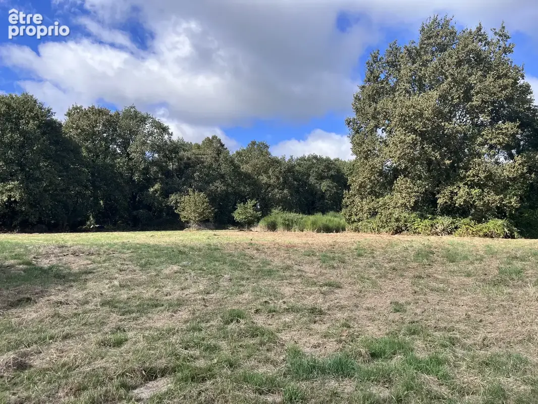 Ferme sur 5 hectares - photo 5