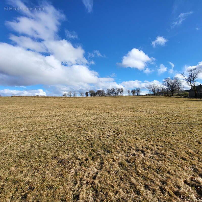 Maison à SAINT-SATURNIN