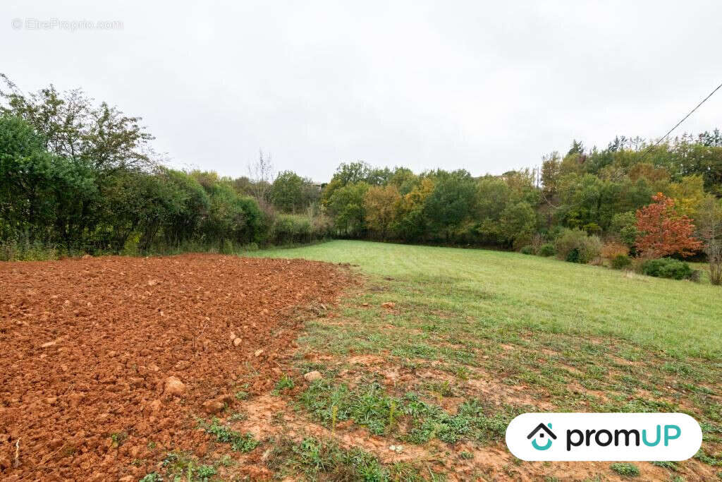 Terrain à CASTRES