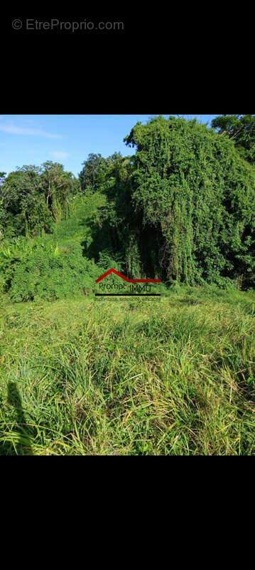 Terrain à LE ROBERT