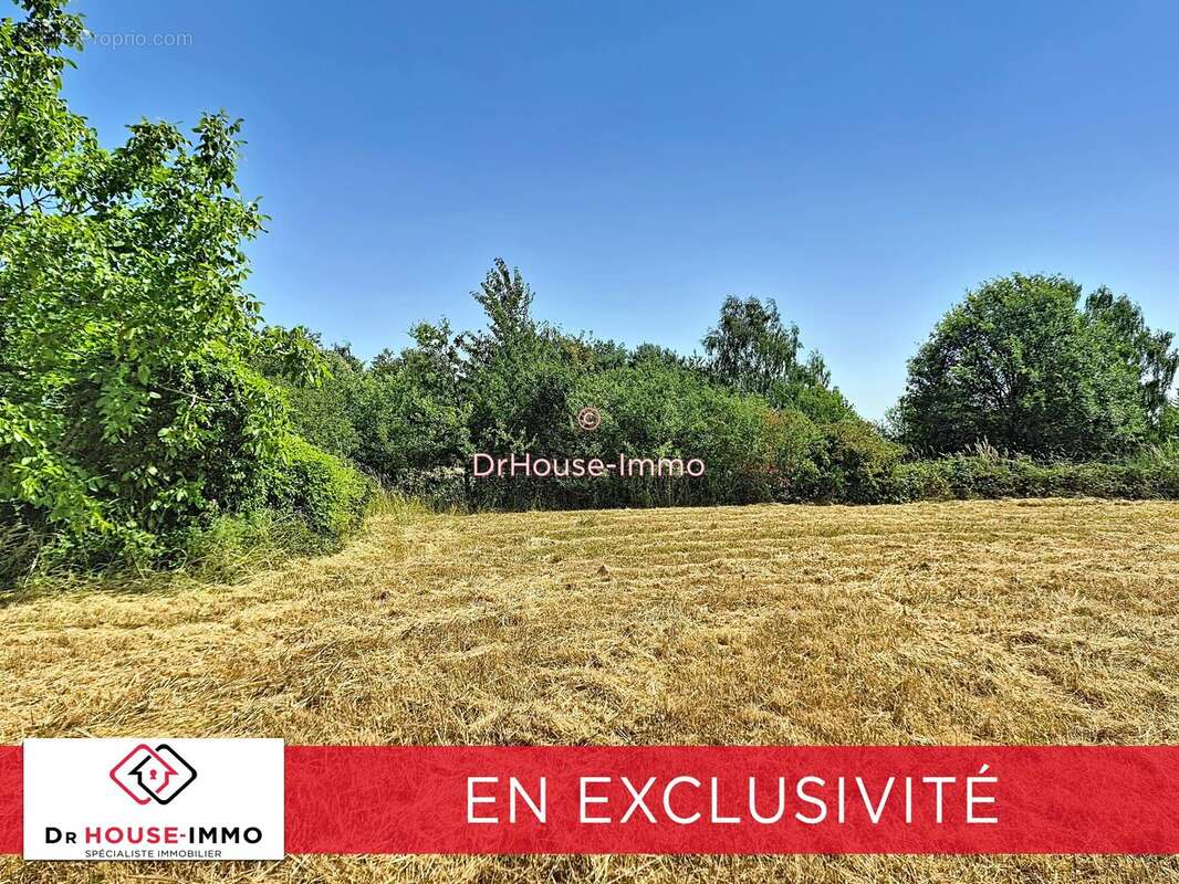 Terrain 1 506 m² à vendre à Brion (89400) - photo 6
