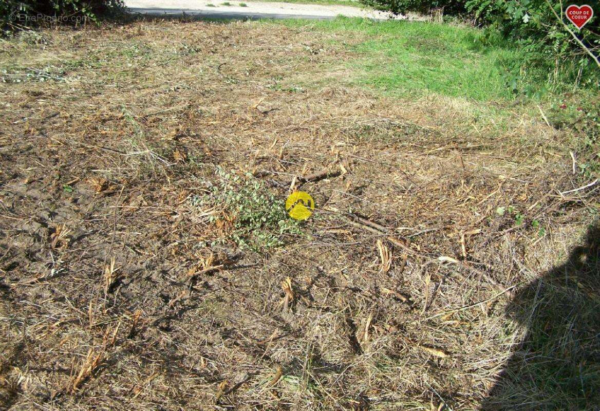 Terrain à BOURGES