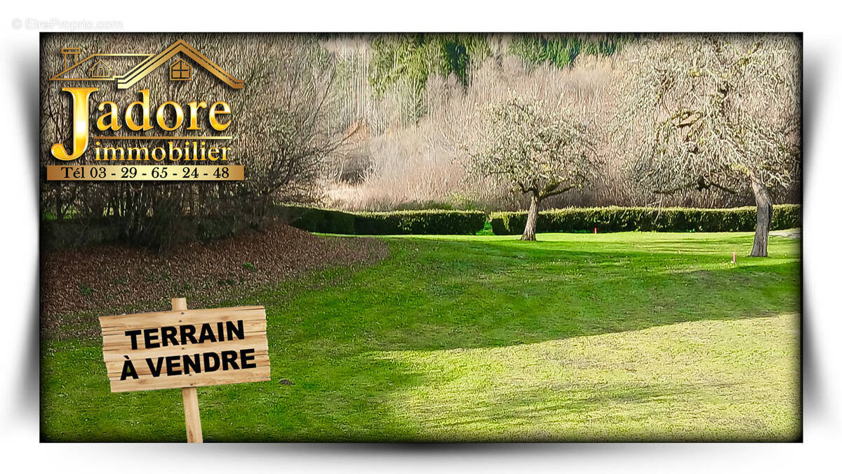 Terrain à AUMONTZEY